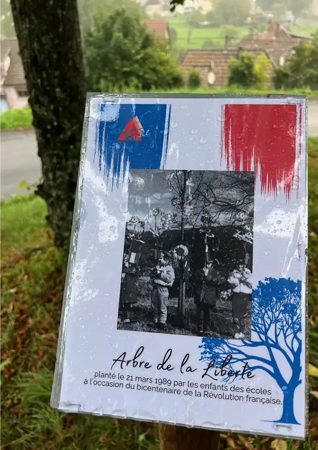 Arbre de la liberté planté le 21 mars 1989