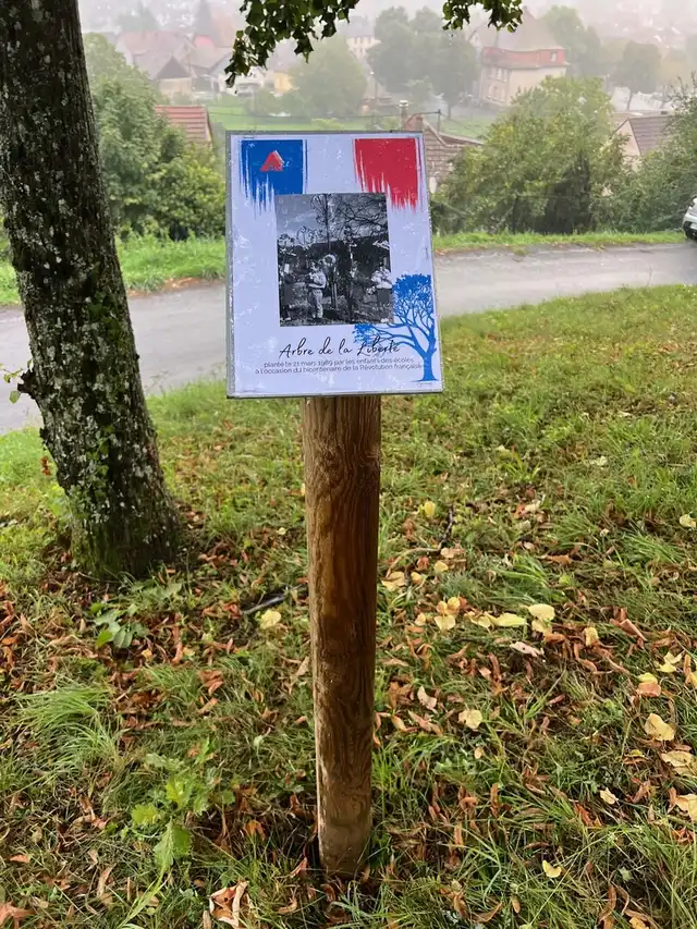 Arbre de la liberté planté le 21 mars 1989