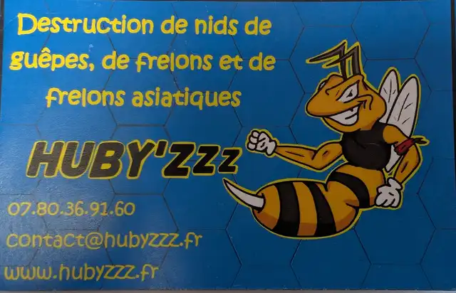 HUBY'ZZZ Destruction de nids de guêpes, de frelons et de frelons asiatiques!