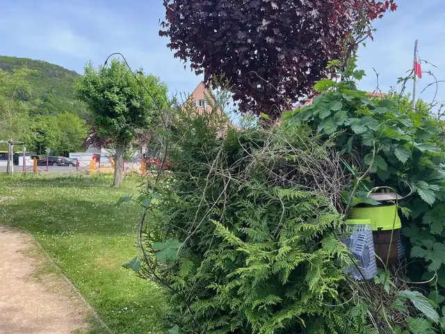 Localisation des pièges sur le ban communal