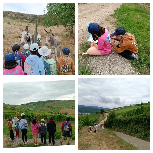 Jeu de piste à Westhalten