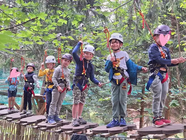 Accrobranche : mini camp