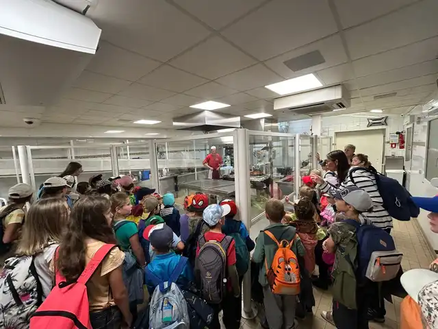 Visite d 'une fabrique de bonbons dans les Vosges