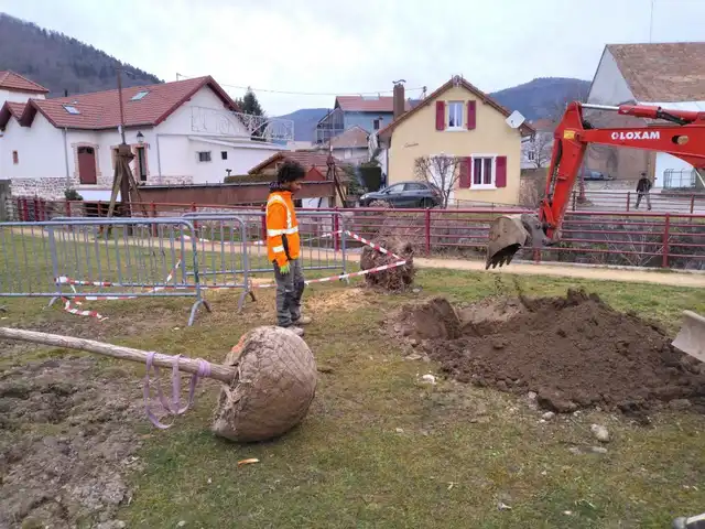 Plantation des arbres 24 février