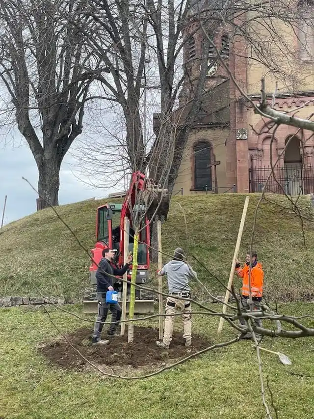 Plantation des arbres 24 février