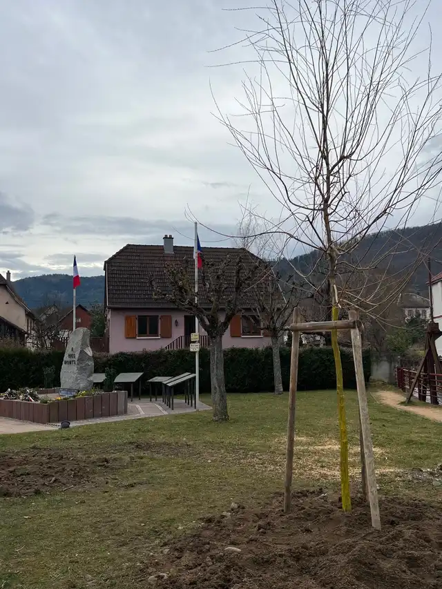 Plantation des arbres 24 février
