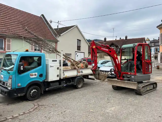 Plantation des arbres 24 février