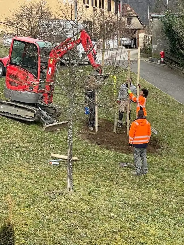 Plantation des arbres 24 février
