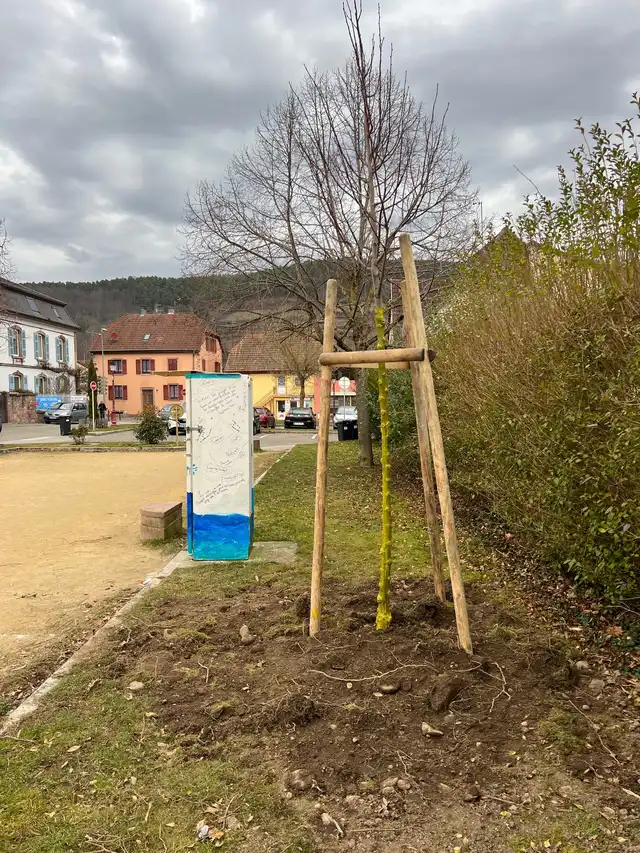 Plantation des arbres 24 février