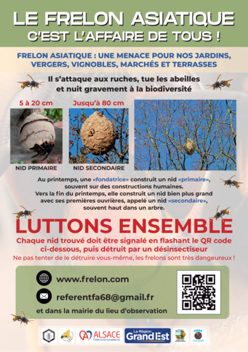 Le frelon asiatique c'est l'affaire de tous !