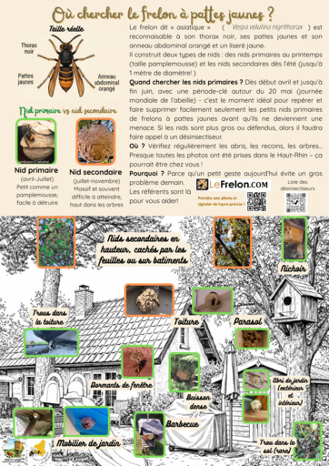 Affiche - Où chercher le FA