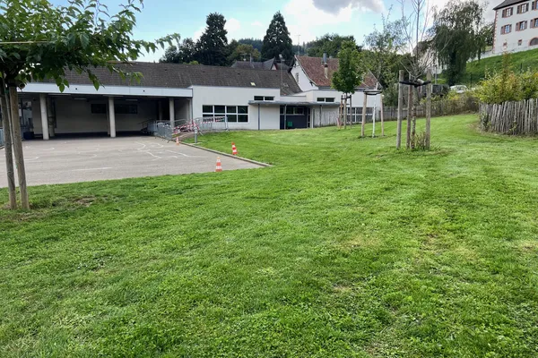 Travaux de débroussaillage, taille, désherbage, engazonnement, aux abords et cour Maternelle et Périscolaire .