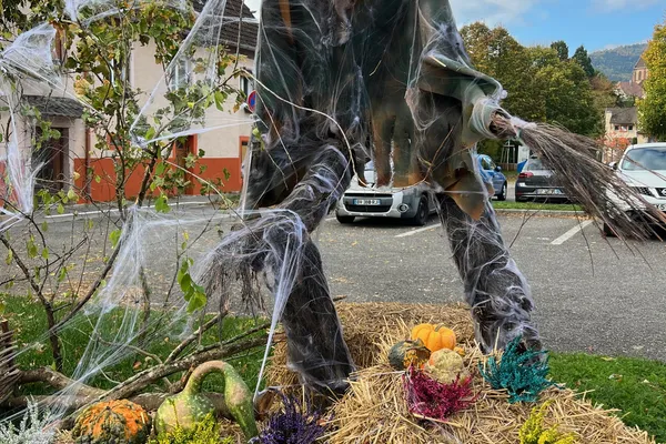 Mise en place des décors pour Halloween