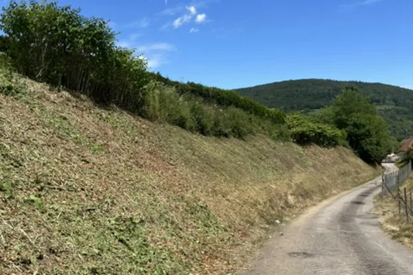 TRAVAUX DE DÉBROUSSAILLAGE